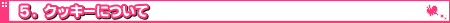 5.�N�b�L�[�ɂ���